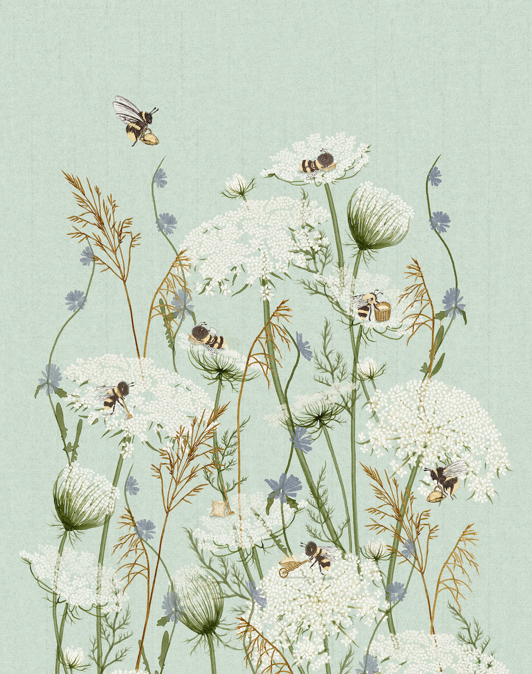 A botanical illustration featuring white wildflowers, green stems, and several bees on a pale mint-green background.