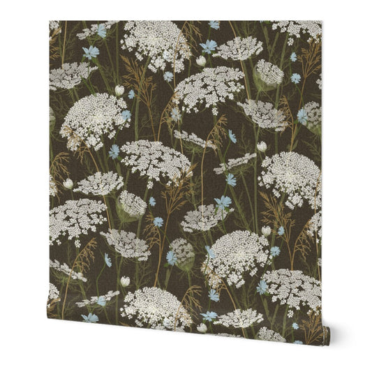 A roll of wallpaper featuring a dark brown background with a repeating floral pattern of white Queen Anne's lace and small light blue flowers, shown against a plain white background.